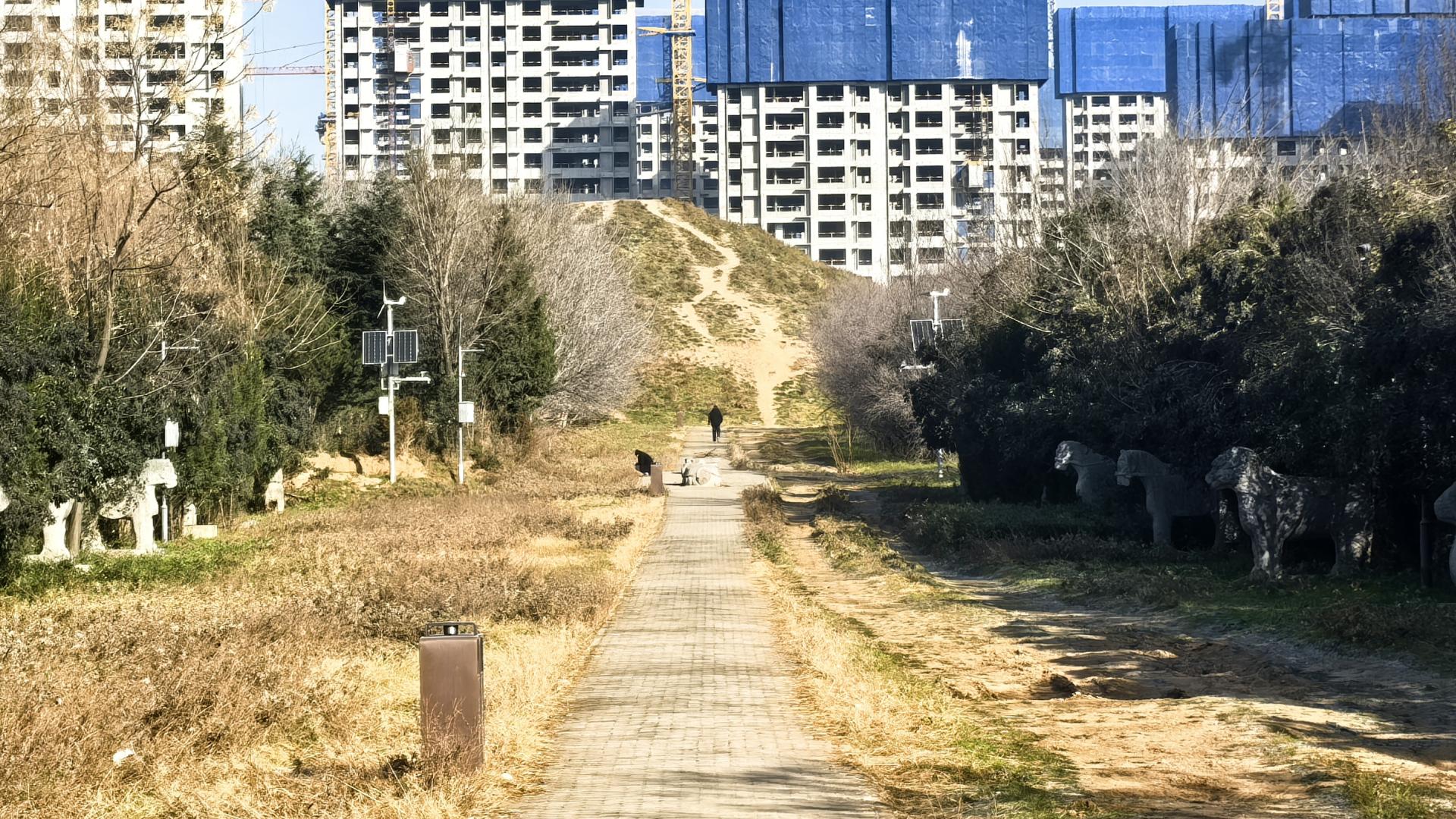 被朱元璋骂“死有余辜”的第一藩王，娶了“赵敏”，却被妇人毒死