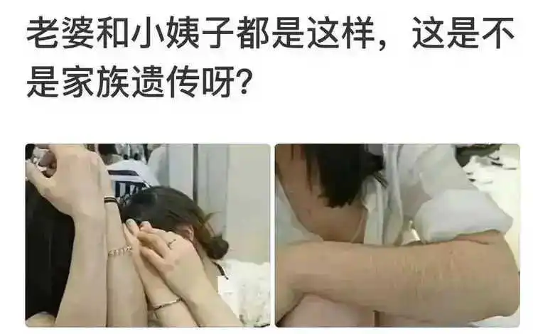 这可能是被同一头猪拱的。