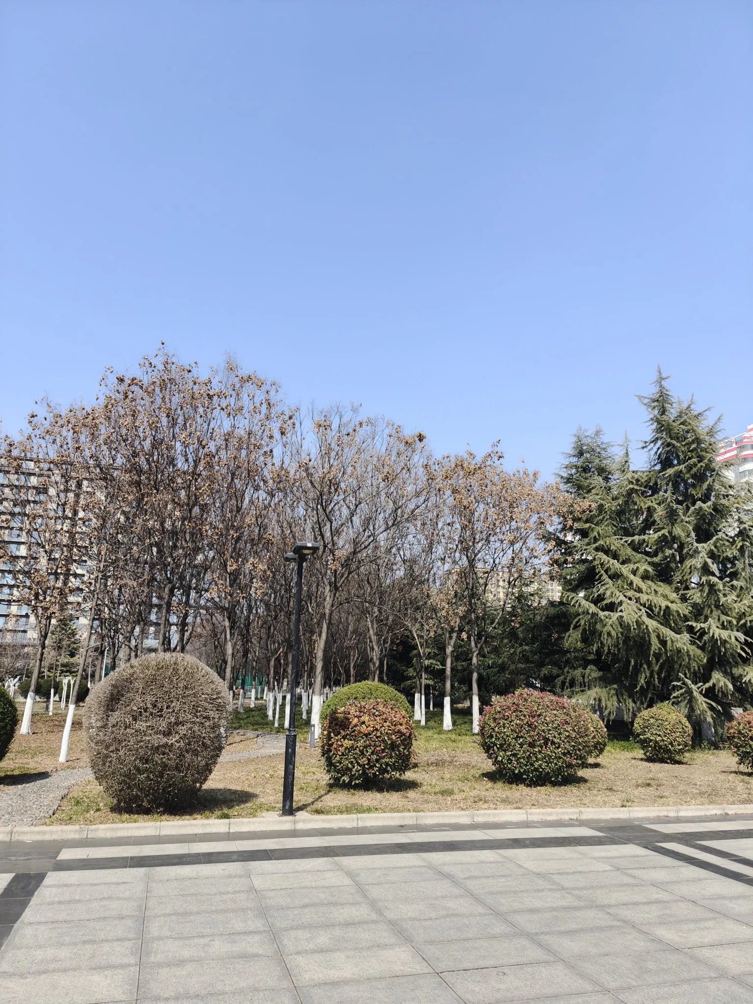 发现报驾校真得多咨询，可不要傻不愣登脑子一热就报名了。里面猫腻不少，前面咨询了一