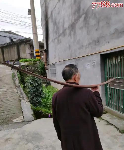 更离谱的是汕尾人"一致对外"的设定——真当人人都是闪电侠？从田间地头跑来干架，怕