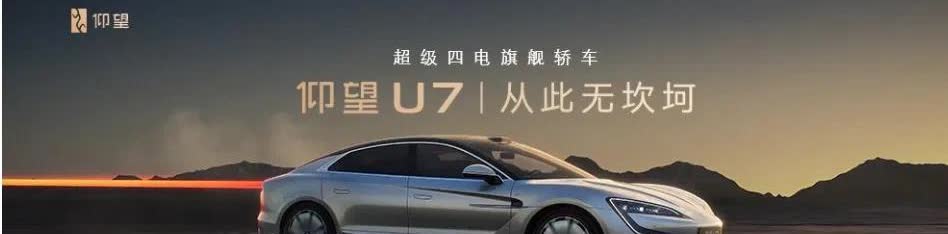 专家预测，未来中国汽车品牌只剩下六家：

1、比亚迪，可能性占99%
2、