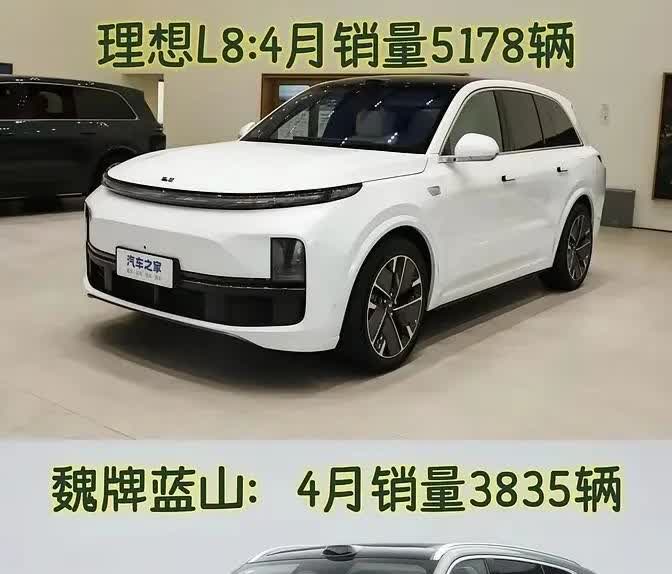 理想的底蕴没有蓝山深厚，只不过是理想老板把握住了市场需求先声夺人。而长城身为传统