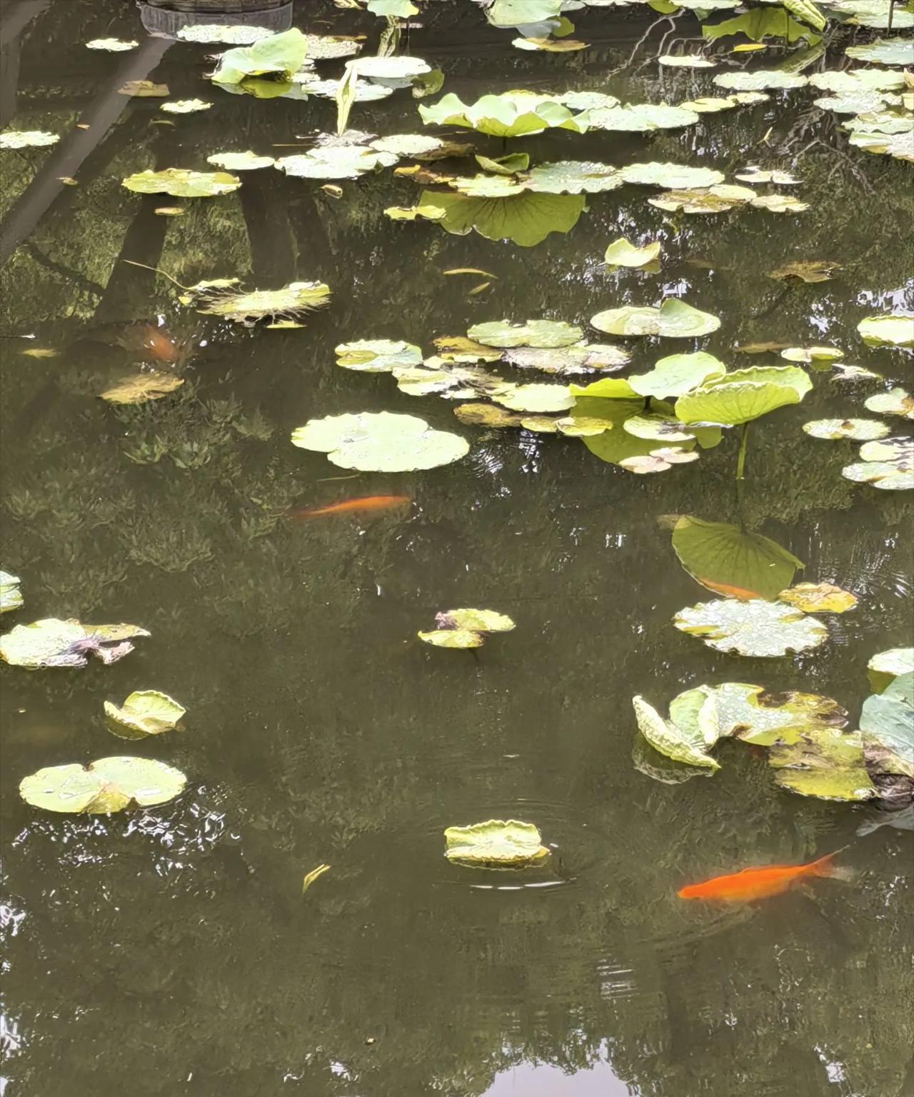 #分享一下你心中最美的景色#