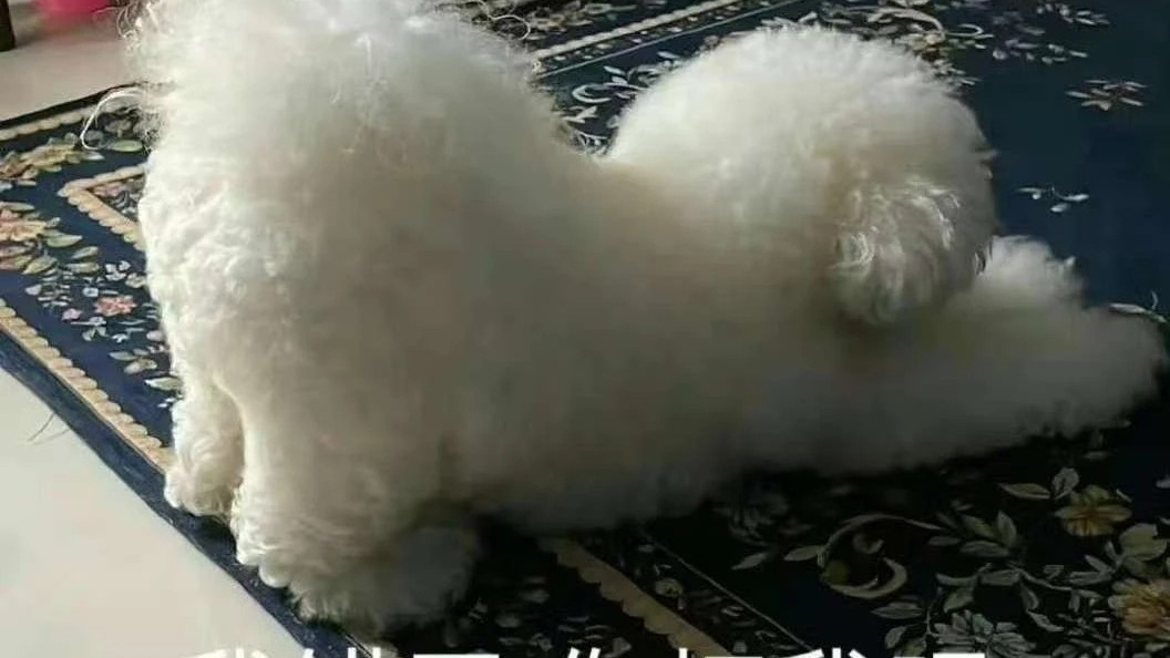 网络搜寻：那些让人摸不着头脑的道歉！