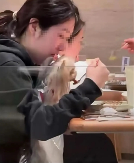 奇葩！常州，女子在餐厅内居然用汤勺喂宠物狗！邻桌气疯：“不管你多喜欢它，它始终是