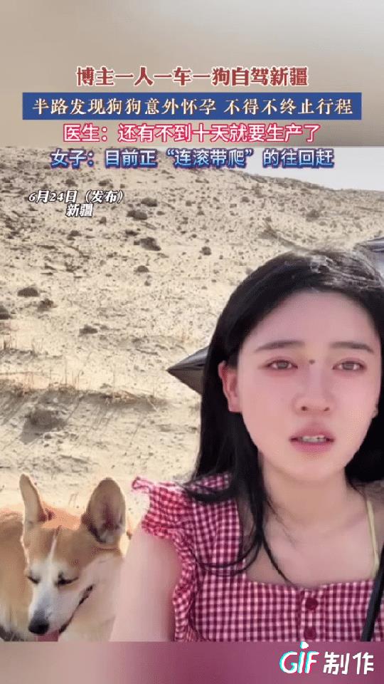 这女子说话太有趣了！四川一美女博主带狗狗自驾新疆:10年自驾无人问，意外怀孕天下