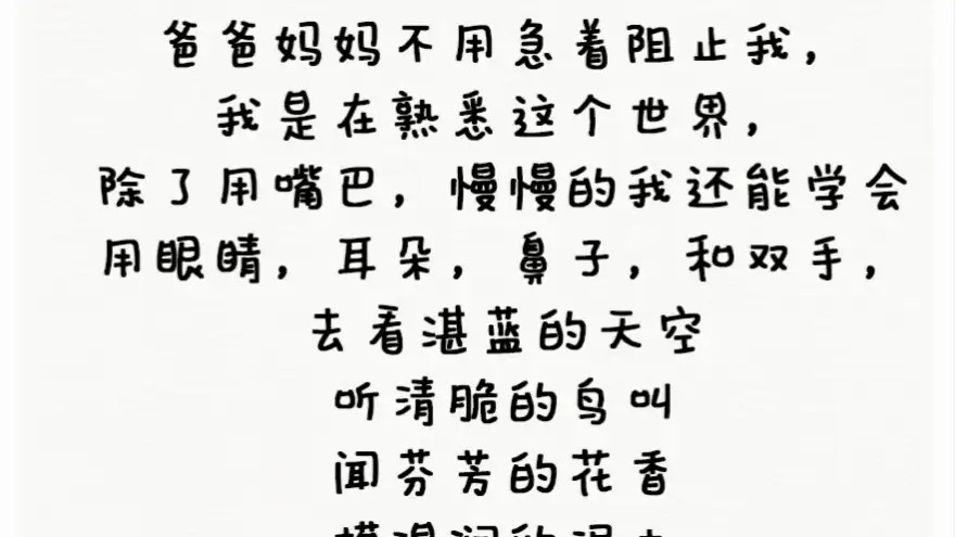 一场感官与探索的奇妙旅程