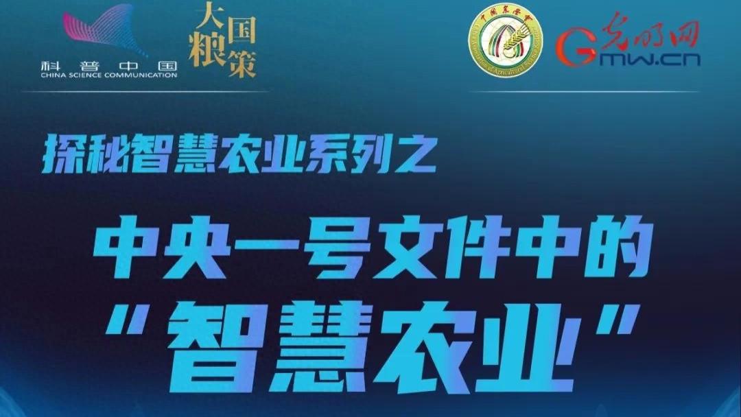 智慧农业 |探寻 中央一号文件中的“数智密码”