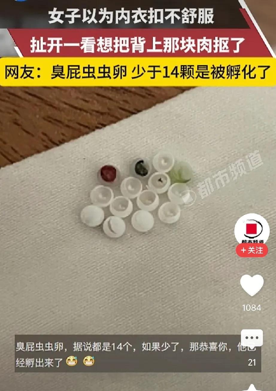 太吓人了！四川，女子起床穿内衣，结果，却总感觉扣不舒服，她将内衣一把扯开，竟然在