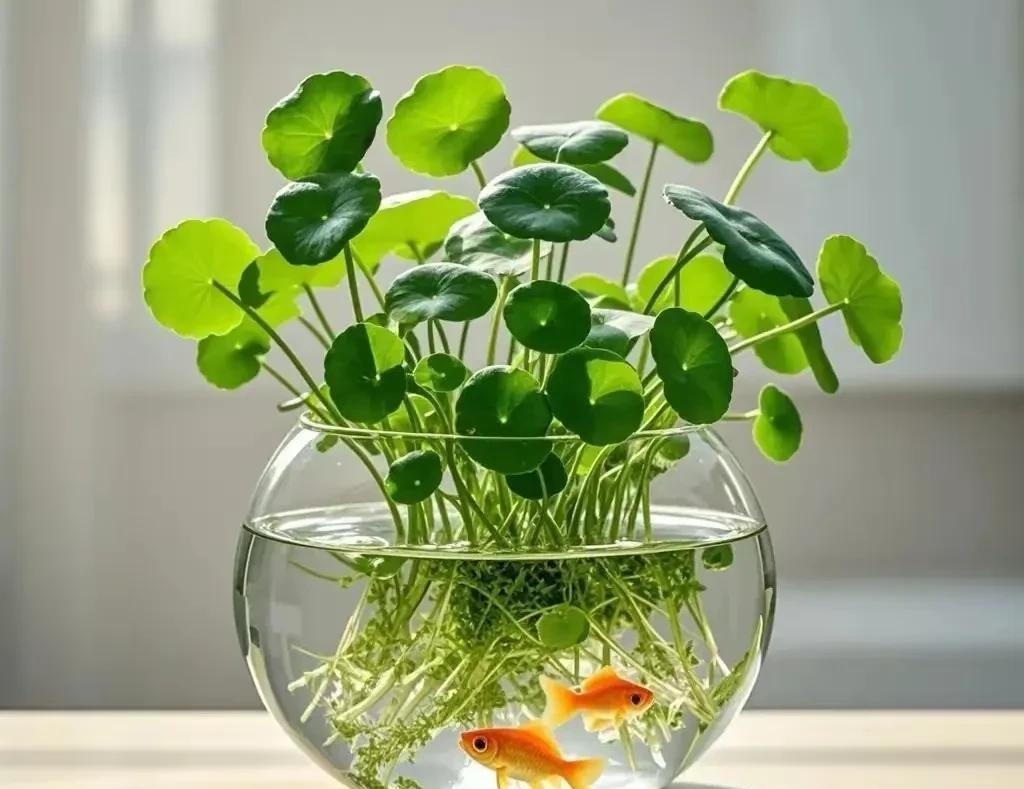 #头号创作者激励计划#
人生下半场，允许自己平庸，允许孩子不优秀，允许朋友渐行渐