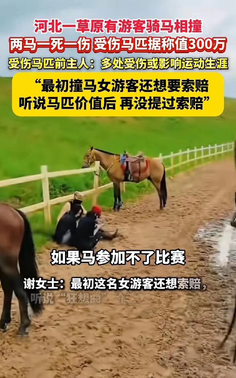 河北一草原上有游客骑马时受伤，并且致使两匹马相撞，结果一马死亡，一马受伤。
近日