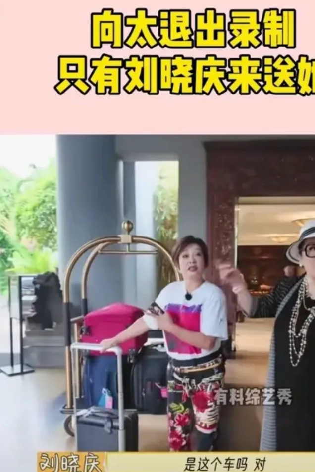 向太退出《一路繁花》的录制，只有刘晓庆一人来相救。

说刘晓庆是傻白甜的向太退出