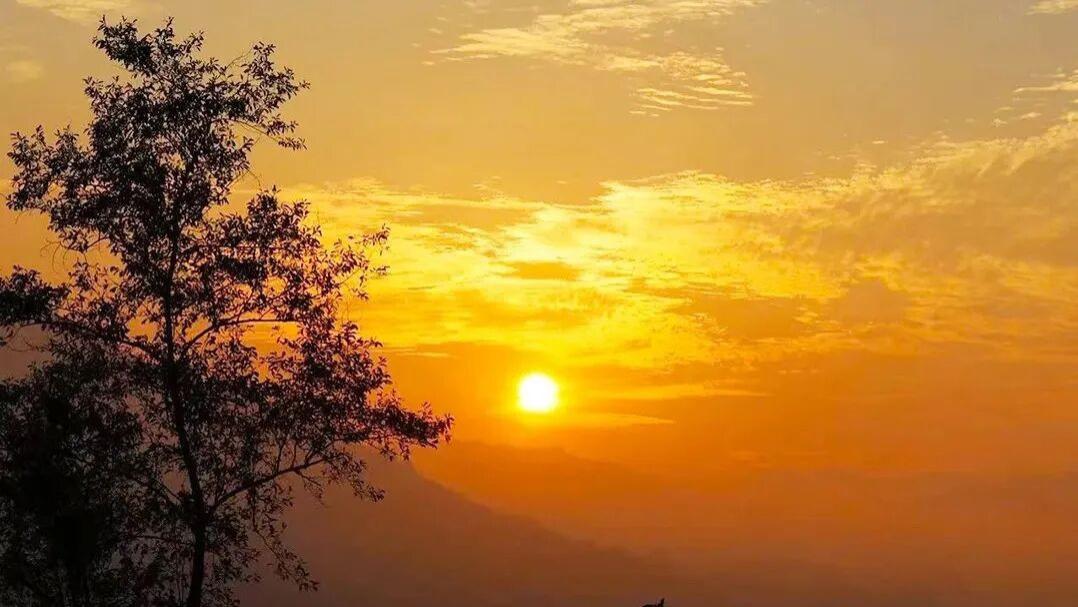 论文写作中最容易混淆的两个部分：文献综述 vs 摘要