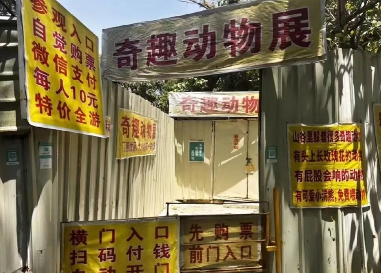 有些人说10块动物园贵，
我想说的是，
贵的不是动物园，是潘新葵这么多年的坚持
