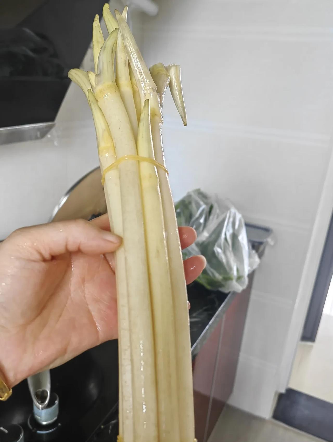 藕尖真的是太好吃了，
不知道你们发现没，
虽然好吃但它却有个缺点，
那就是太贵了