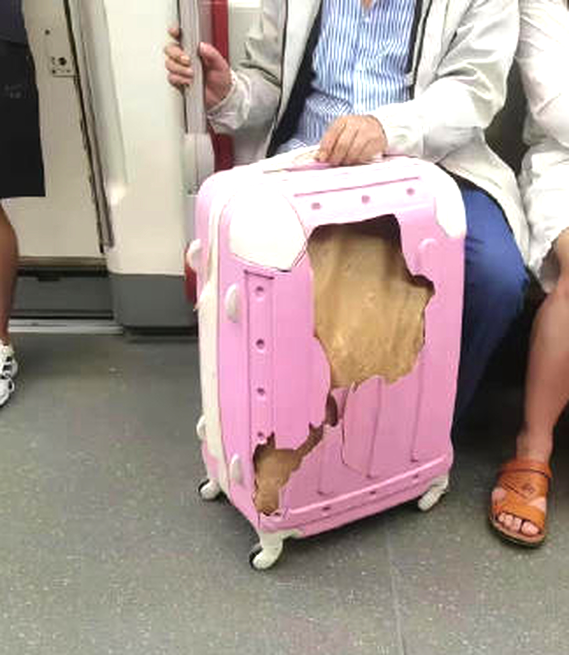 巴黎世家这箱子四位数值吗