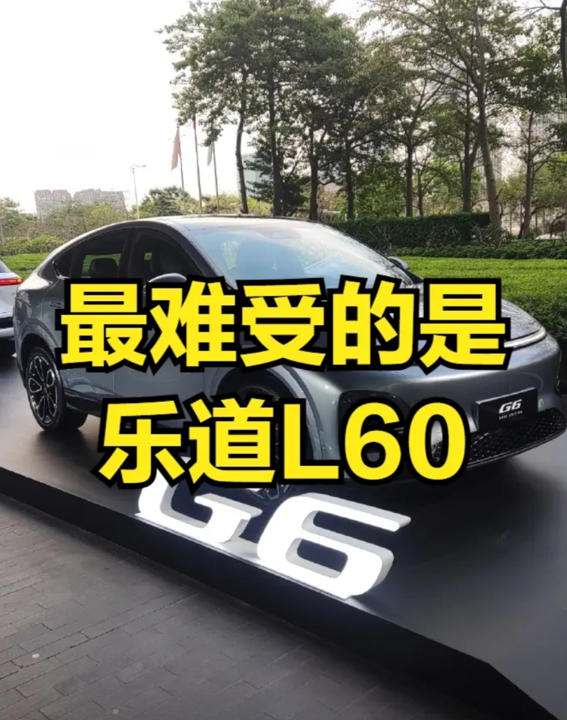 此次受伤最为严重的当属乐道L60了，并且是重伤！原本能够以14.99万一次性买断