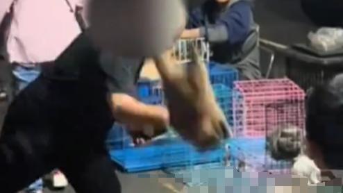 货不成竟摔死宠物狗！柳州男子残忍行为全网怒斥