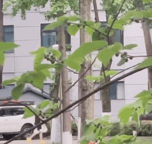 5月6日，王楚钦上训，很早就出门了，今天没有穿黄色外套，
手里拿的是机场穿的外套