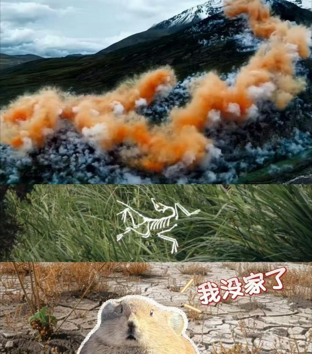 看到一个不一样的观点
蔡国强在喜马拉雅放烟花，危害远没有网传的这么大。
大自然没