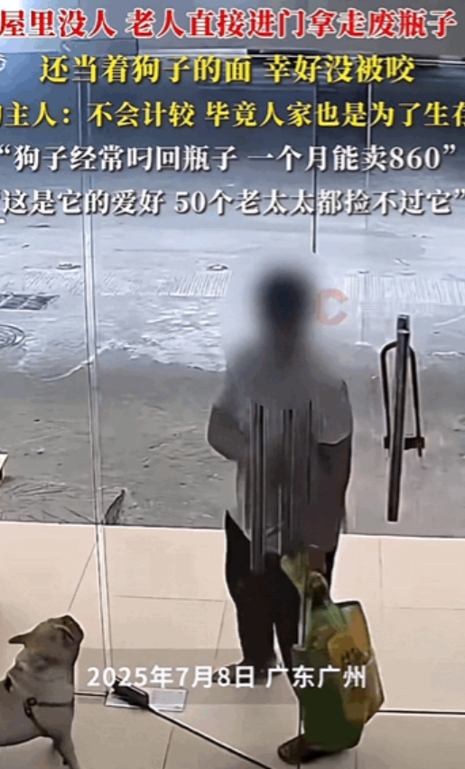 这是真旺财！”广东，一男子养了只狗，它最大的爱好是捡瓶子，一个月给主人赚了860