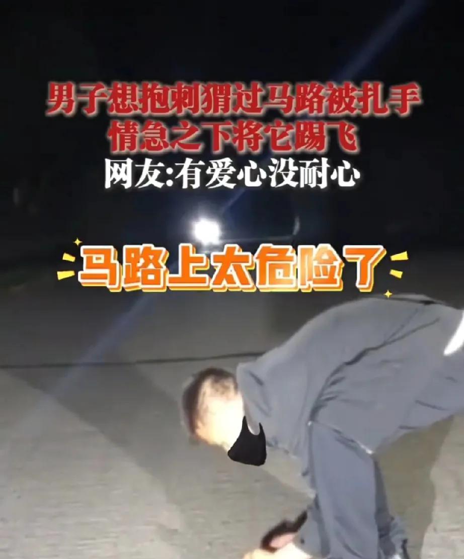 5月15日黑龙江
一男子偶遇一刺猬
想抱刺猬过马路
结果不小心被扎手
情急之下男