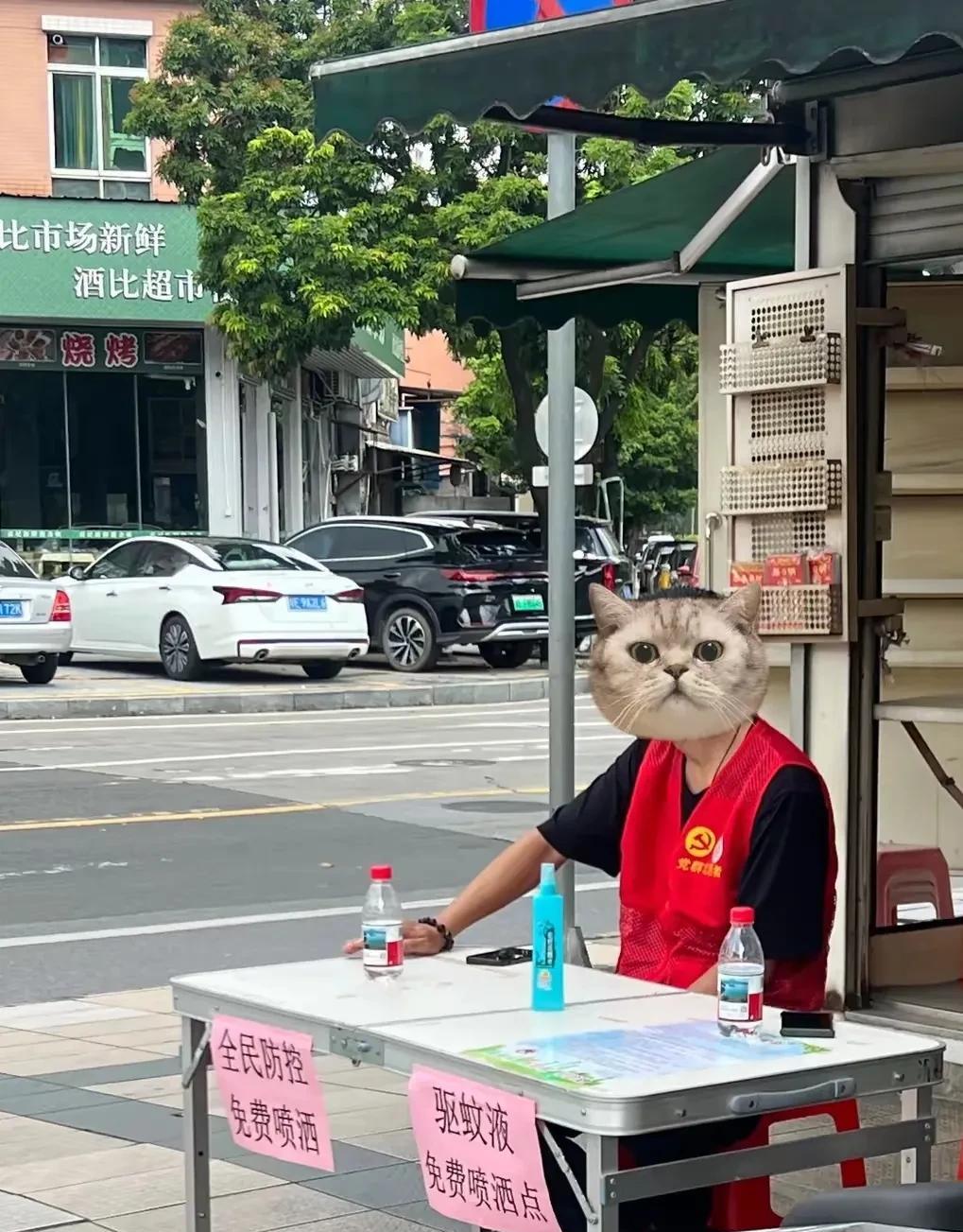 看你毒蚊子还往哪里逃！
中国人要是发动起来，这群众力量真是所向无敌。
广东的灭蚊