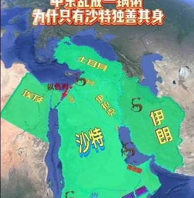 中东国家遇事不决可以看沙特，几十年来沙特已经用事实证明了自己独到的眼光，钱很多，