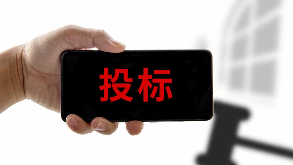 新手入门：投标项目从发布到开标，完整的流程与时间线该如何规划？