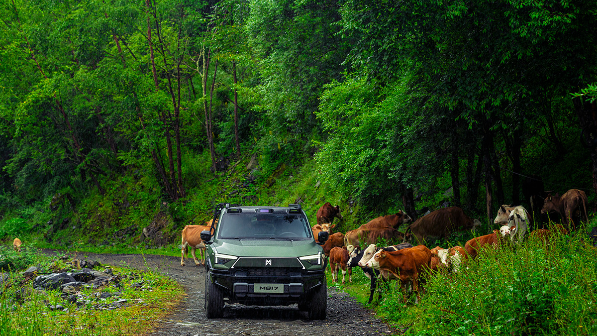 国庆换车？猛士M817一台全能全搞定！