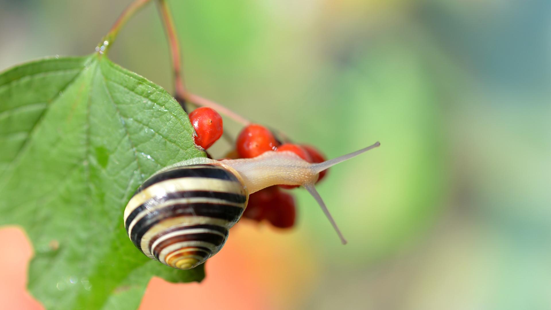 警惕生命脆弱危机：莫贪安逸，用奋斗守护幸福人生
