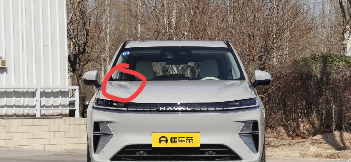 整体符合审美，但引擎盖上的褶皱令人无法忽略，就好像皱着眉头。【来自懂车帝车友圈】