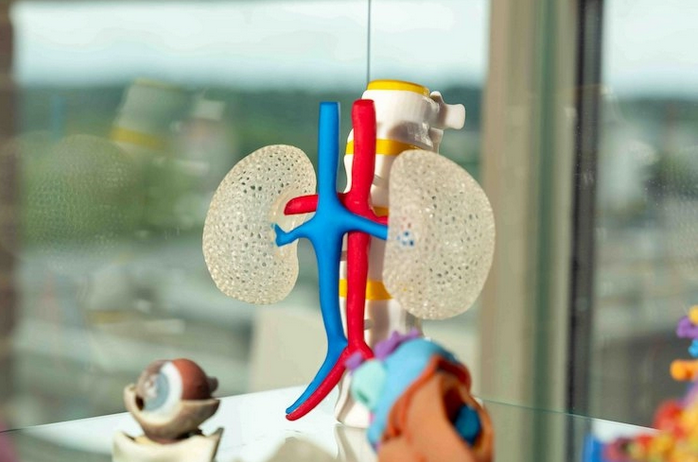 理光设立3D医疗事业部拓展3D打印业务