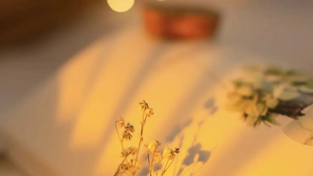 职场中：千万不要和搬弄是非的人做朋友