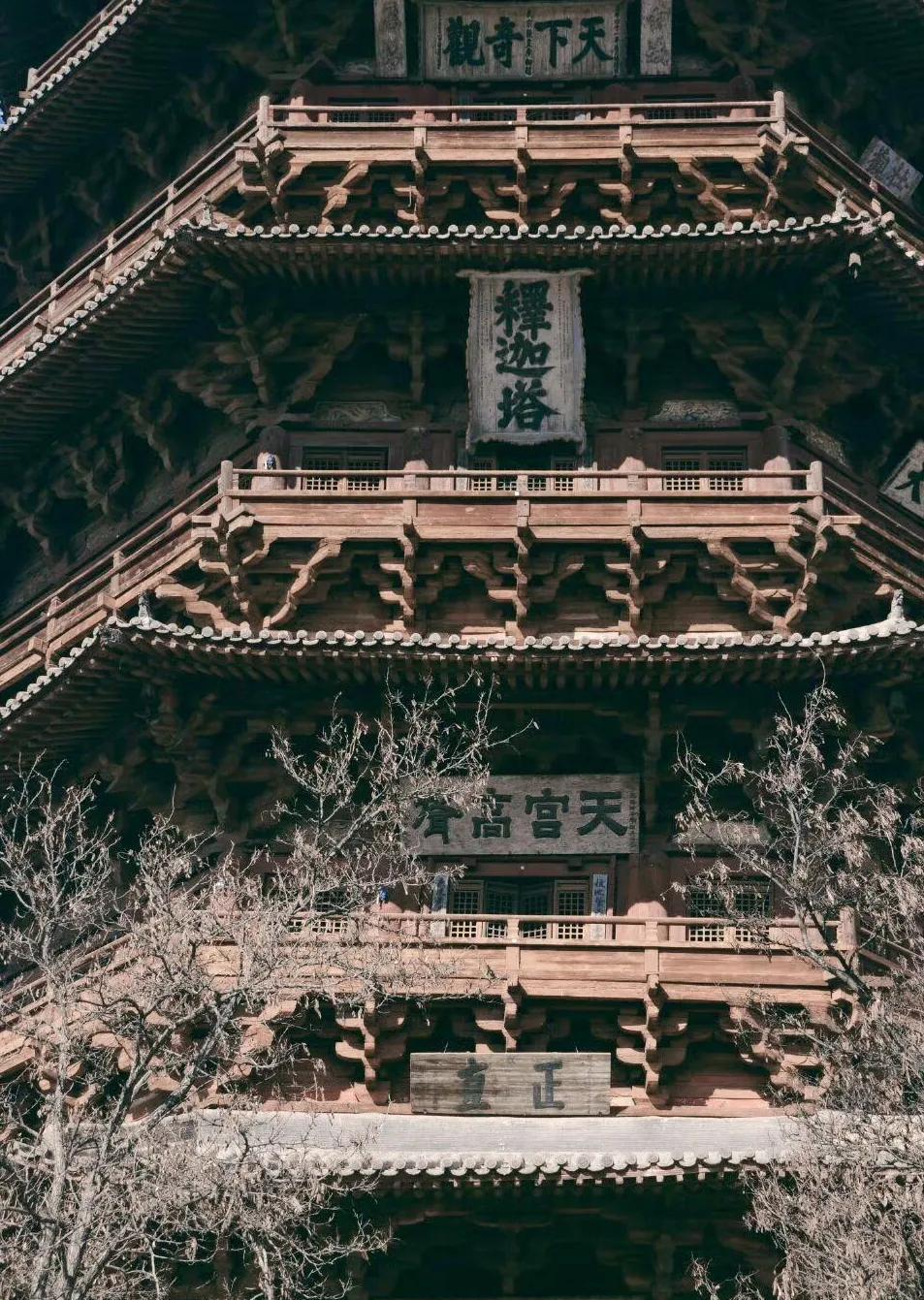 一直以为明星打卡文物都是岁月静好的画风，刷到韩雪在文物前开强光拍照的视频，着实惊