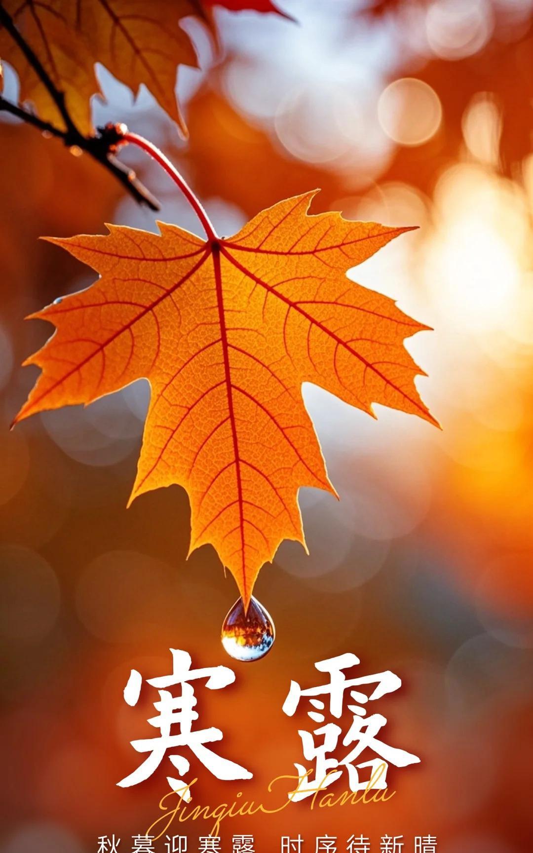 《踏莎行·寒露秋怀》
叶坠知秋，露凝知寒，
生涯真味自闲观。
从容淡定皆收获，