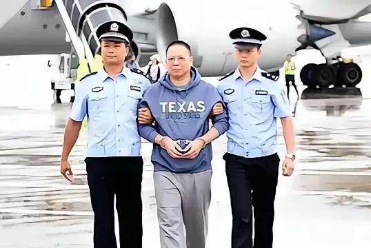 一名银行行长涉嫌贪污40亿，为了确保自己的“后路”，他安排妻子与外国人假结婚，以