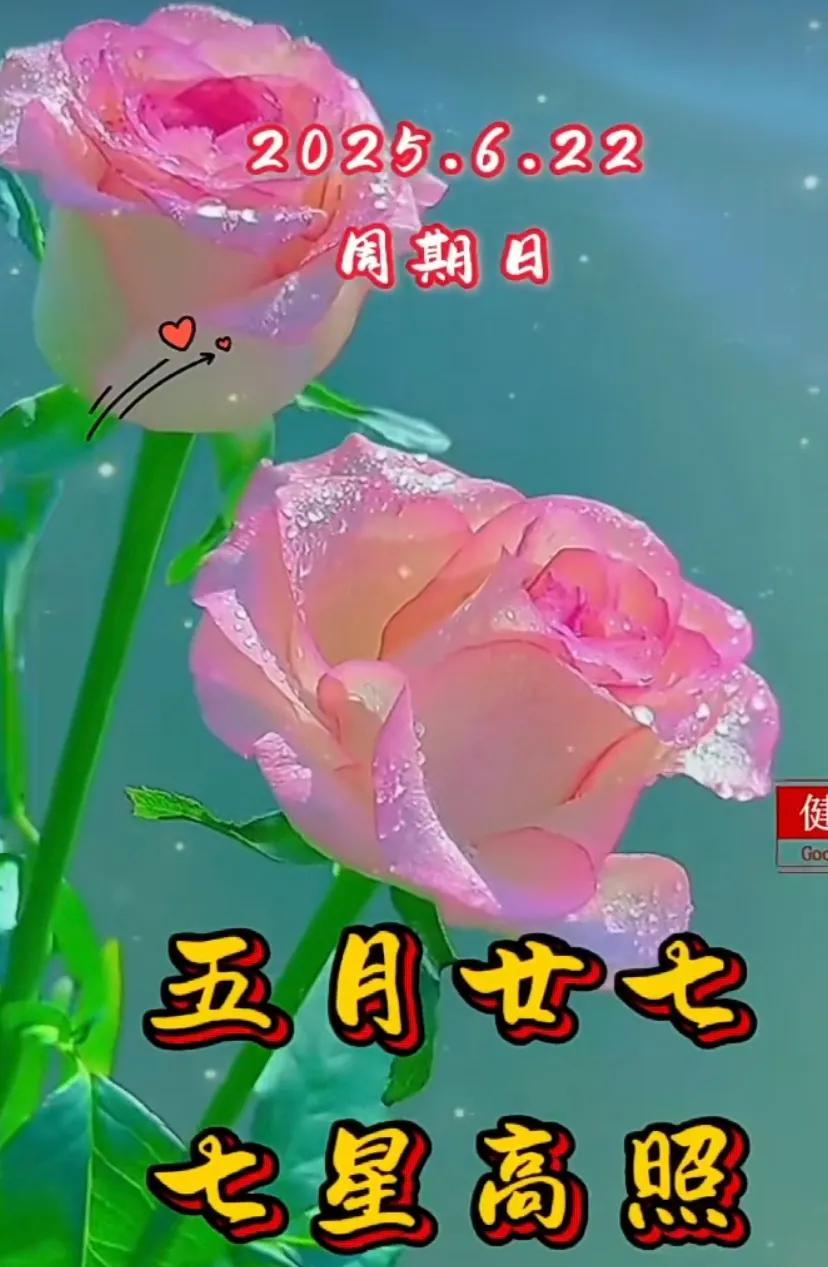 周末愉快，好运常伴，一起赏花赏景！