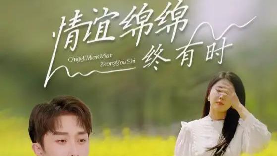 在线免费短剧《情谊绵绵终有时》：叶庭与丁海霞的爱恨纠葛