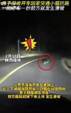 大伙听说了吗？简直不敢相信！山西一哥们儿晚上开车，半路突然冒出一只猫！你说吓人不