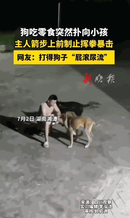 “看着就解气！”7月2日，湖南湘潭，一男子喂狗时，狗突然扑向旁边的小孩，孩子妈妈