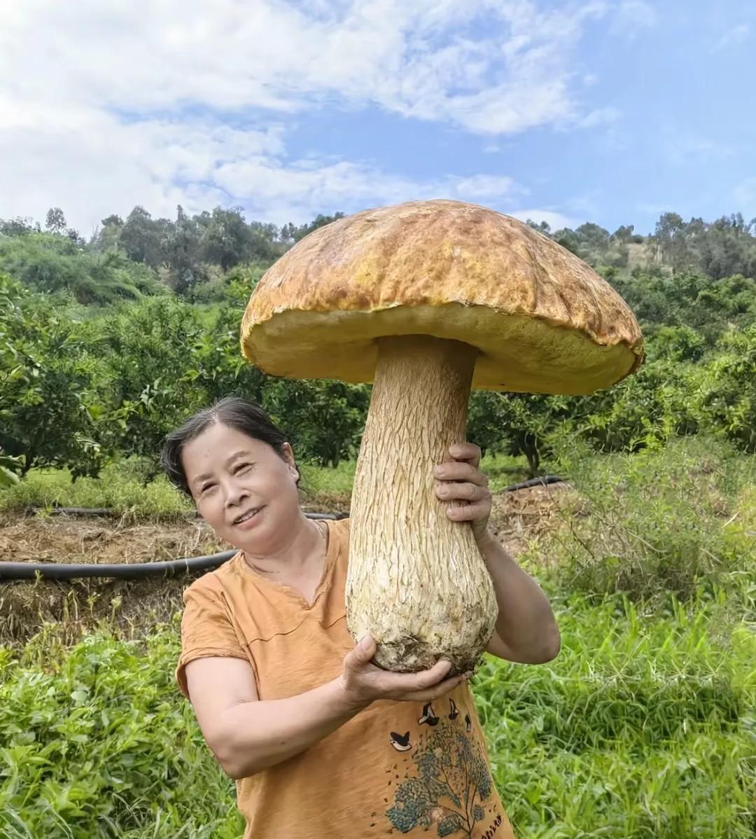 此图片经本人同意