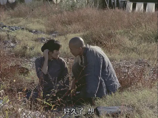    影片《菊豆》是张艺谋执导的第二部电影，也是他那仪式化的影像风格得以确立的重