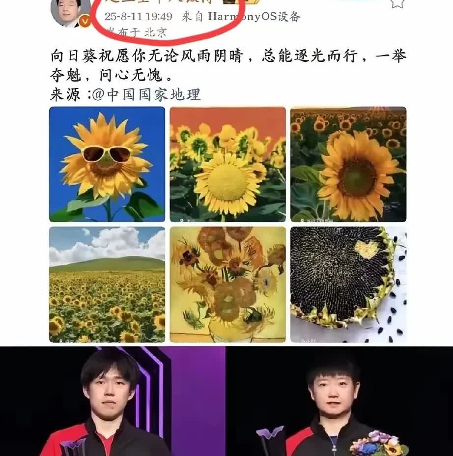 多读书真的有用！
不信你看赵外交官，
对王楚钦和孙颖莎的祝福并没有多高级，也