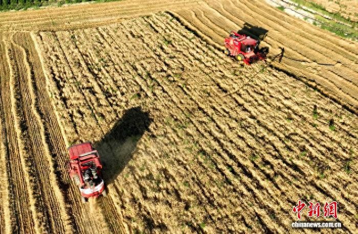 甘肃民勤：科技种粮促干旱区绿色转型