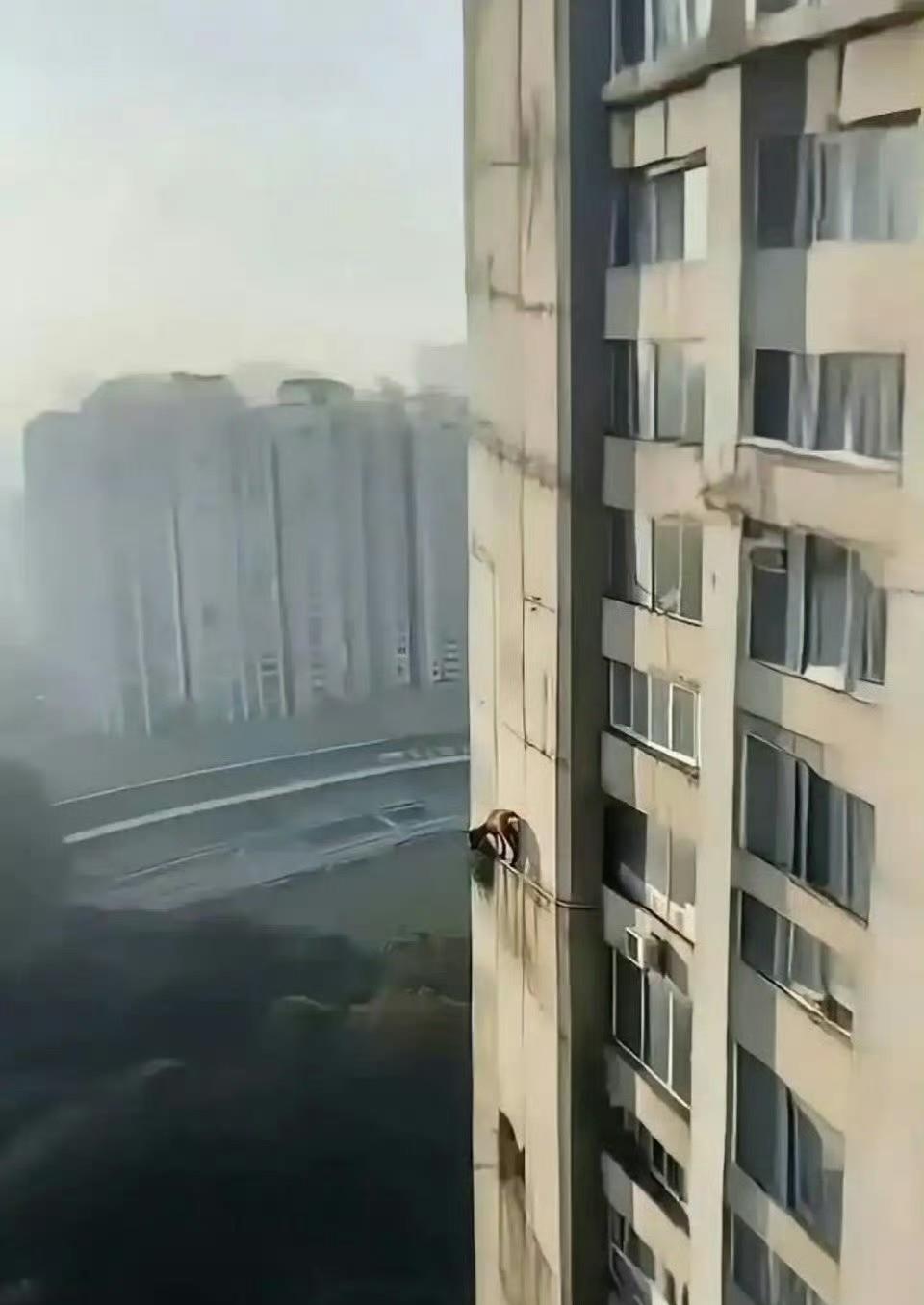 告诉物业我们墙上有只羊..... ​​​