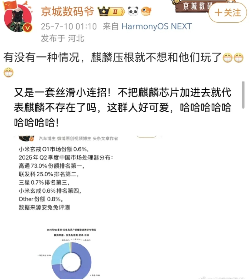都这样选择性排名了，那为什么定语不加多一点呢？直接说国产3nm芯片排名不就好了。