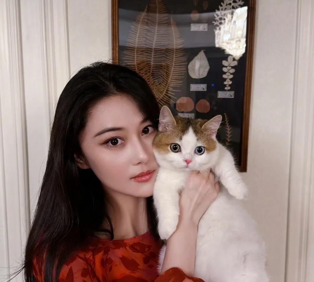 有网友说，张馨予爱猫的程度，不亚于她爱老公的程度。
虽然是一句玩笑话，但是从张馨