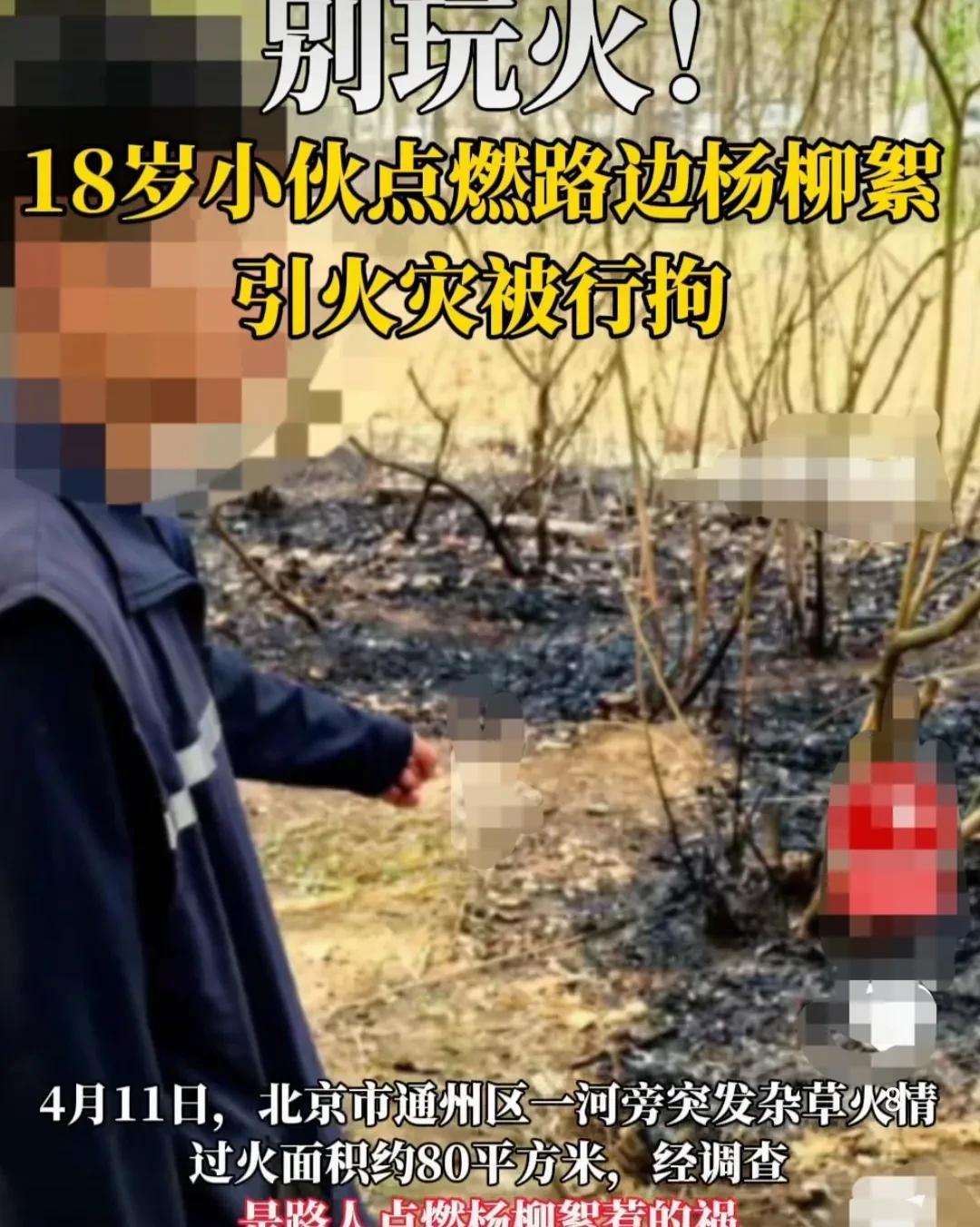 北京，18岁少年，看到路边堆积了很多柳絮。他感觉很好玩儿，掏出打火机，将这些柳絮