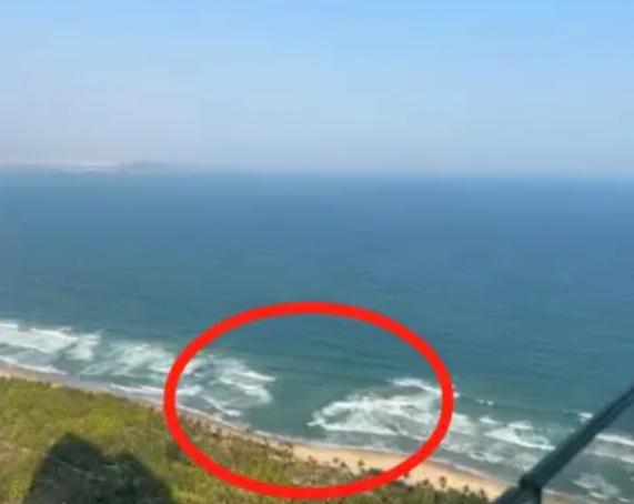 暑假马上来了，你以为在海边的沙滩玩会100%安全吗？不，海边的沙滩隐藏了一个“杀